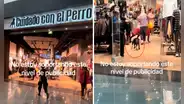 Inauguran tienda Cuidado con el Perro y captan a can persiguiendo a clientes: “Hizo mérito a su nombre”