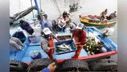 Declaran de necesidad pública segundo censo de pesca artesanal a nivel nacional