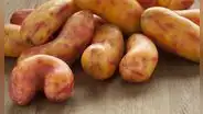 El olluco es nombrado como uno de los mejores vegetales del mundo por Taste Atlas