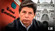 Pedro Castillo: abogados presentan dos hábeas corpus al TC y acciones de amparo contra el Congreso