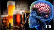 Descubren en cuánto tiempo el cerebro se recupera de beber alcohol en exceso