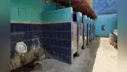 Chiclayo: baños de Moshoqueque son un atentado a la salud pública