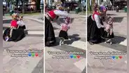 Perrita se luce al usar traje típico de Moquegua en concurso de disfraces: “Orgullosa de ser peruana”