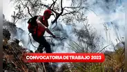 ¿Acabaste la secundaria? Sernanp ofrece 47 puestos laborales con sueldos desde S/1.600