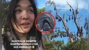 Peruana en Australia se impresiona al ver peculiares animales y en redes se asustan: "Sal de ahí"