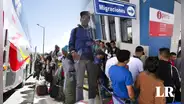 ¿Qué pasará con quienes brinden transporte y hospedaje a extranjeros en situación migratoria irregular?