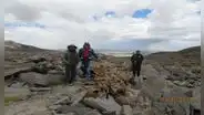 Organización criminal está matando vicuñas del sur