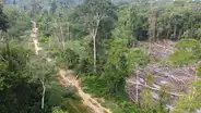 La urgencia de lograr la sostenibilidad de la conectividad vial amazónica en un contexto de crisis climática mundial