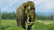 Una empresa de científicos busca resucitar al mamut lanudo en América para 2028