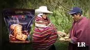 De Lambayeque para el Perú: panetón de hongos comestibles a la conquista de los paladares en Navidad