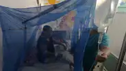 Piura registra 147 muertos por dengue y temen aumento