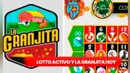 Lotto Activo y La Granjita EN VIVO: resultados de HOY, 24 de noviembre