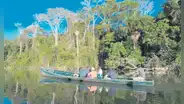 Destinan US$1,2 millones para conservación de la Amazonía