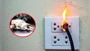 ¿Cómo evitar cortocircuitos en casa si instalarás aparatos eléctricos por fechas festivas?
