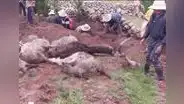 Esposos con sus 26 ovejas y su gato mueren al ser alcanzados por un rayo en Cusco