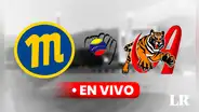 Magallanes vs. Tigres EN VIVO: ¿a qué hora y dónde ver el juego GRATIS por la LVBP 2023-24 este 28 de noviembre?