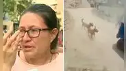 SJL: mujer y su pequeña hija sufren feroz ataque de 5 perros, pero dueño solo les paga S/20