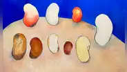 Mónica Luza, artista peruana, presentará su muestra 'Lenguaje originario - El pallar'