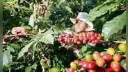 Desastres naturales causan pérdidas de US$123.000 millones al año, según la FAO