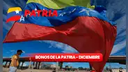 Bonos de la Patria: estos subsidios llegan con aumento para diciembre 2023