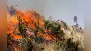 Sondor arde hace 16 días en Arequipa: 1.000 hectáreas destruidas y animales muertos