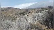 Logran controlar cuatro incendios forestales en la región Arequipa