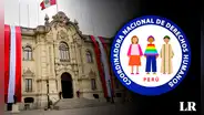 CNDDHH: "¿Puede un país ser democrático cuando tiene instituciones seriamente cuestionadas?"