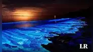 ¿Conoces la bioluminiscencia del mar?: esta playa de Sudamérica cuenta con esta maravilla natural