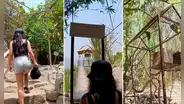 ¿Cuál es la ruta para llegar a la selva escondida de SJL? Peruana muestra recorrido y sorprende en redes