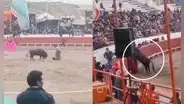 Toro se escapa del ruedo, se mete entre el público y ataca a hombre en Puno