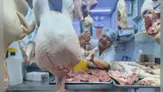 Pavos gigantes: ¿qué tan caros son y dónde encontrarlos en Lima?