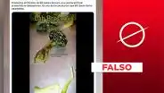 No, este video no muestra un "brócoli artificial" producido por Bill Gates