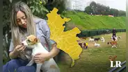 Ni Miraflores ni San Isidro: ¿cuál es el mejor distrito de Lima para vivir con mascotas, según la IA?