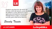La mosca soldado negra, por Sonaly Tuesta