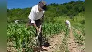 Sector agropecuario cayó en 4% para octubre, el rendimiento más bajo en 30 años