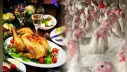 Precio del pavo en mercados del Perú se incrementa por Navidad: ¿cuánto está?