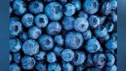 FAO: comercio mundial de berries superó al de plátanos en 2022, con los arándanos a la cabeza