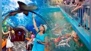 El acuario más grande del Perú está en Comas: ¿cuáles son sus promociones, beneficios y cómo acceder?
