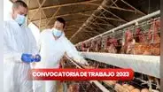 ¿Quieres cambiar de trabajo en 2024? Senasa ofrece EMPLEOS con sueldos de hasta S/5.500