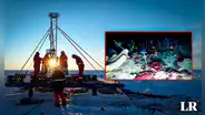Los animales milenarios descubiertos a casi 200 metros bajo el hielo de la Antártida