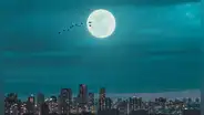 La luna fría, la última luna llena del 2023: horarios y cómo verla HOY en el cielo
