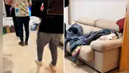 Perrito duerme en sofá mientras que sus dueños se divierten: "La nueva generación de niños latinos"