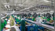 Agroexportadoras aportarán solo 6% a EsSalud desde hoy