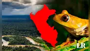 El parque nacional más grande del Perú: no está en Lima y tiene más de 2 millones de hectáreas