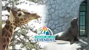 Parque de las Leyendas: ¿quiénes pueden obtener entradas generales a menos de la mitad de precio?
