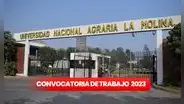 Trabaja en la Universidad Agraria de La Molina: conoce los requisitos y plazas disponibles