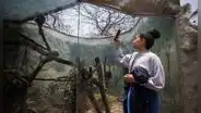Parque de las Leyendas brinda cursos de verano 2024 para niños y adolescentes: ¿cuáles son?