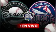 Tiburones vs. Bravos por el Round Robin de la LVBP 2023-24 EN VIVO: ¿a qué hora y canal puedo VER el juego?