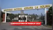Trabaja en la Universidad Agraria de La Molina: conoce los requisitos y plazas disponibles