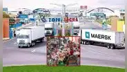 ¿Cómo se podrá comprar en la Zona Comercial de Tacna vía online sin IGV ni ISC?